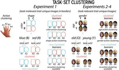 Spontaneous Task Structure Formation Results in a Cost to Incidental Memory of Task Stimuli